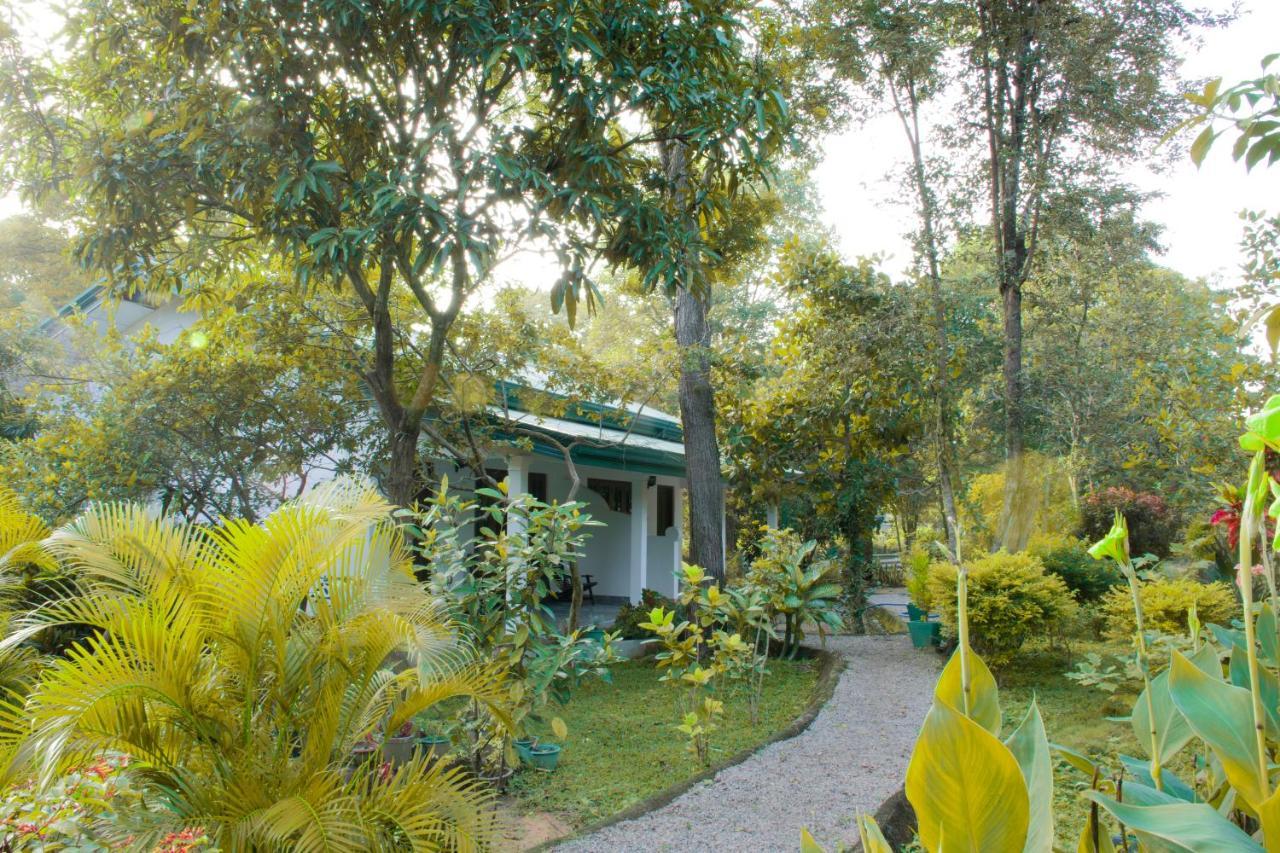 Tamarind Tamarind Resort, Tourist Board Approved Habarana Exterior foto