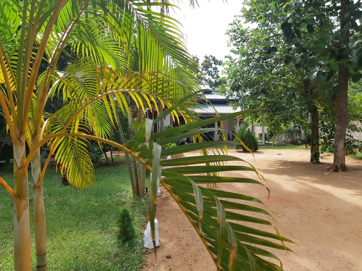 Tamarind Tamarind Resort, Tourist Board Approved Habarana Exterior foto